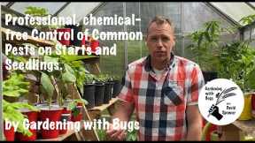 Professional, Chemical-free Control of Common Pests on Starts and Seedlings