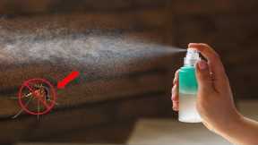 How to Make a Natural Insect Repellent to Protect Your Home