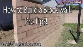 How to Build a Block Wall DIY #3