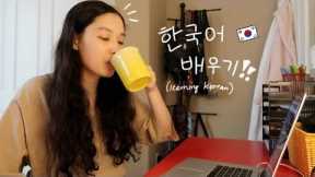 LEARN KOREAN: How to study Korean | not really studying with nina!