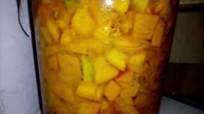 Mango Fermented Fruit Juice