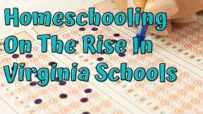Homeschooling For Beginners: How Virginia Homeschooling Compares