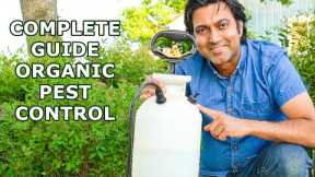 Pesticide Companies Don't Want You to Know These Secrets | Complete Guide to Organic Pest Control