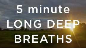 5 Minute Long Deep Breaths