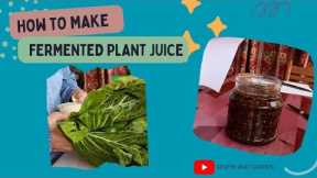 HOW TO FERMENT PLANT JUICE  [ENG/MALAY]