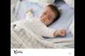 AIHS Webinar: Parenting as a hazard