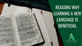 Unlocking the World: Compelling Reasons to Learn a Foreign Language
