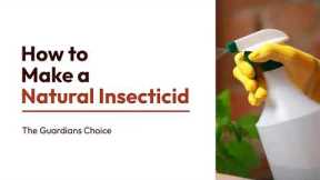 7 Ways to Make a Natural Insecticide | A Complete Guide | The Guardian's Choice