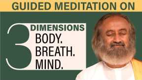 Meditation on the 3 Dimensions: Body, Breath, Mind | Gurudev