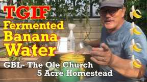 Fermented Banana Water/Tea—Your Plants Will THANK YOU! #fertilizer #organic #gardening