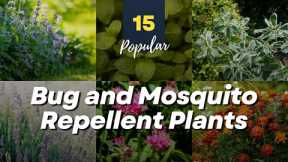 15 Natural Bug and Mosquito Repellent Plants 🌼🦟🌿 Keep Annoying Insects Away!
