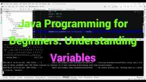 Java Programming for Beginners: Understanding Variables
