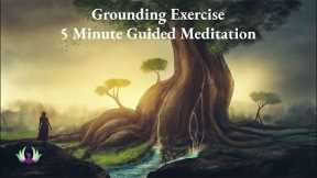 Quick 5 Minute Grounding Guided Meditation | Reduce Anxiety | Grounding Exercise