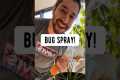 How to Make a Bug Spray for Plants |