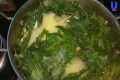 How to make organic pesticide from