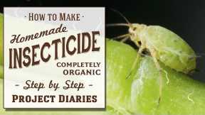 ★ How to: Make Homemade Insecticide (Complete Step by Step Guide to Killing Garden Pests & Insects)