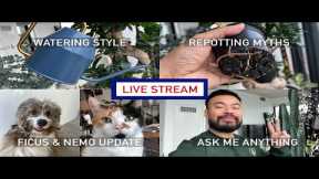 Watering Habits, Repotting Myths, Ficus & Nemo, Ask Me Anything - LIVE STREAM