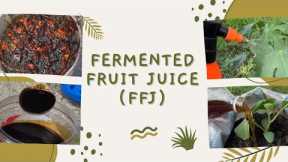 How to Make Fermented Fruit Juice (FFJ) | DIY Gardening