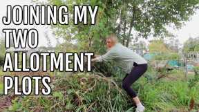 JOINING MY TWO ALLOTMENT PLOTS / ALLOTMENT GARDENING FOR BEGINNERS