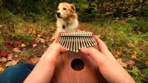 Can't Help Falling In Love on a Kalimba