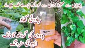 Free Liquid Fertiliser at Home | How to Make Citrus Bio Enzyme for Plants | Healthy Foliage & Roots