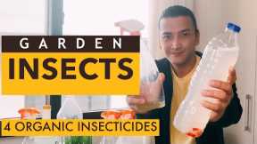 Organic Insecticide | Pangtaboy at pampuksa sa mga ANTS, APHIDS, MITES, AT SNAILS | GARDEN PEST TIPS