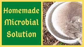 The Secret of A Healthy Garden - How To Make JADAM Microbial Solution aka JMS