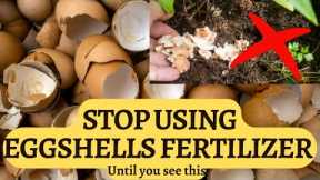 Eggshells fertilizer for plants - Myths and correct use
