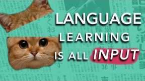 How to Learn a Language: INPUT  (Why most methods don't work)