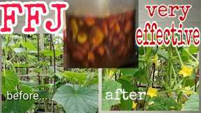 FFJ Fermented Fruit Juice How to Make and Apply FFJ with English Subtitle  #tutorial #urbangardening