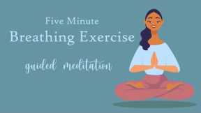 5 Minute Breathing Exercise (Guided Meditation)