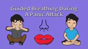 Guided Breathing Exercise Meditation Panic Attacks & Anxiety