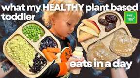 what my HEALTHY plant based toddler eats in a day 👧🏻🥦