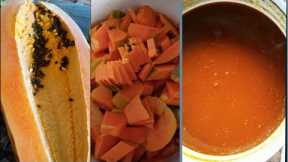 Korean Natural Farming, How to make Papaya Fermented Fruits Juice (FFJ)