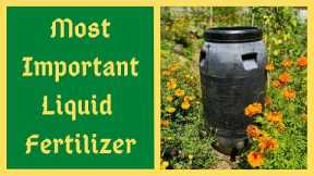 If You Only Make ONE Fertilizer Make It THIS ONE - Here's EXACTLY What Your Plants Need - JADAM JLF