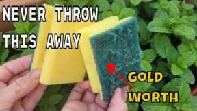 NEVER THROW THEM AGAIN !! the sponges used  are WORTH PURE GOLD on your plants in HOME AND GARDEN