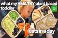 what my HEALTHY plant based toddler