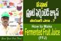 How to Make Fermented Fruit Juice