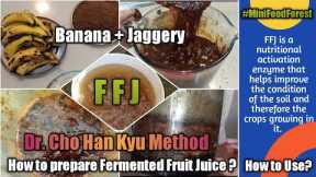 How to Prepare Fermented Fruit Juice & How To Use | Cho Han Kyu Method | FFJ | Mini Food Forest