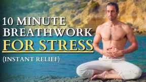10 Minute Guided Breathwork For Stress & Anxiety I Feel Calm and Focused