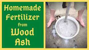 From The Ashes Comes Life Again - Homemade Fertilizer - Potassium / Calcium / Magnesium - Wood Ashes