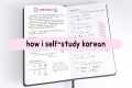 how i self-study korean + tips for