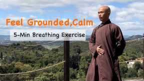 FEEL GROUNDED and CALM | 5-Minute Belly Breathing Exercise | Qigong for Beginners