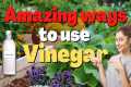 10 Amazing Ways to Use Vinegar in