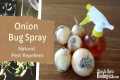 Onion Bug Spray - Natural Pest