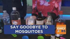 Say goodbye to mosquitoes through natural mosquito repellent