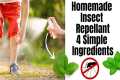 Homemade Insect Repellent || Two