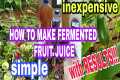 HOW TO MAKE FERMENTED FRUIT JUICE FOR 