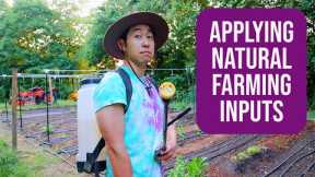 The Daily Grow Ep. 5 [Applying Natural Farming Inputs on the Field]