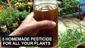 5 Homemade Pesticide For All Your Plants I Step By Step Procedures